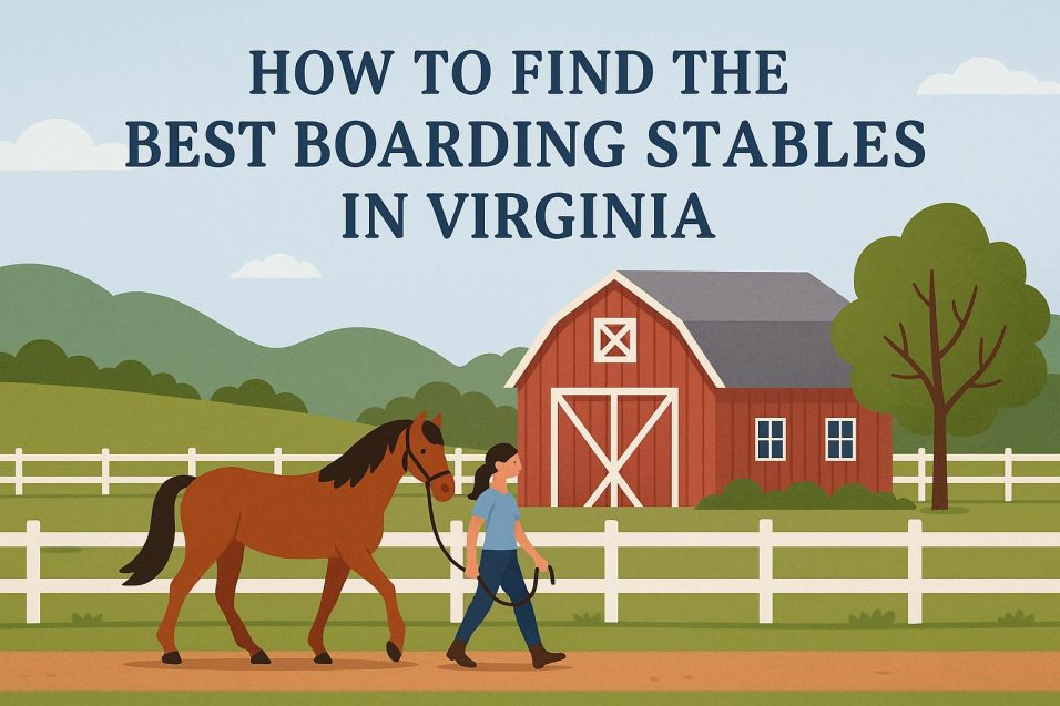 How to Find the Best Boarding Stables in Virginia