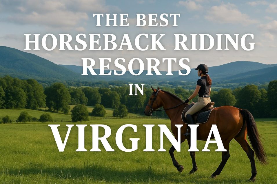 The Best Horseback Riding Resorts in Virginia