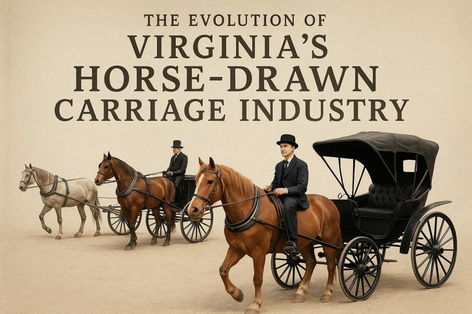The Evolution of Virginia’s Horse-Drawn Carriage Industry